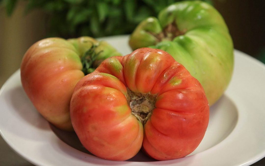 La gastronomía se sumerge en las tradiciones de mayo